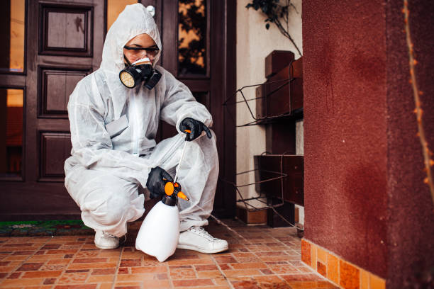 Attic and Crawl Space Rodent Treatment in South Venice
